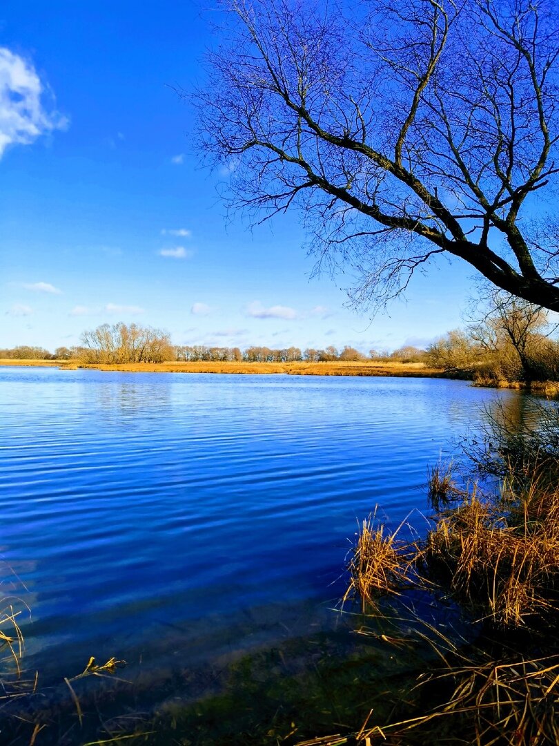 Фото: Дмитрий Иванов 