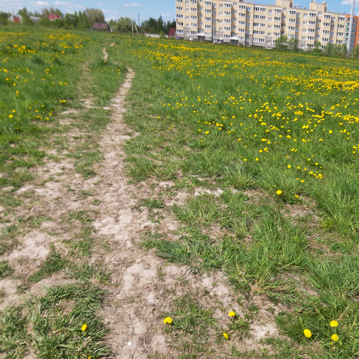 Тренируйтесь дома