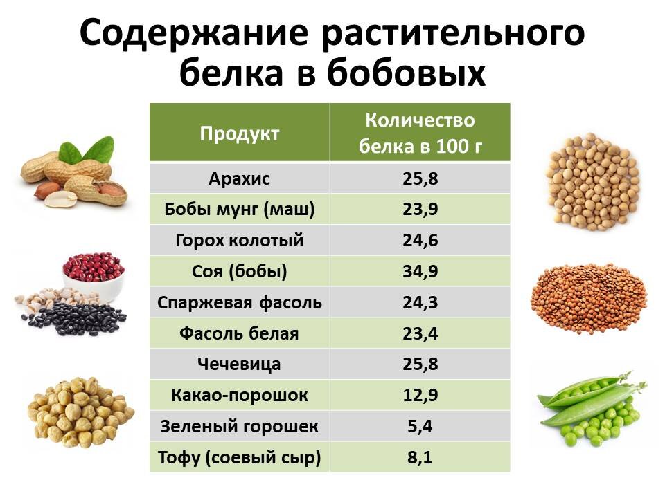 Фасоль углеводы белки. Содержание белка в бобовых на 100. Белок в растительных продуктах таблица. Растительные белки продукты. Белок в бобовых таблица.