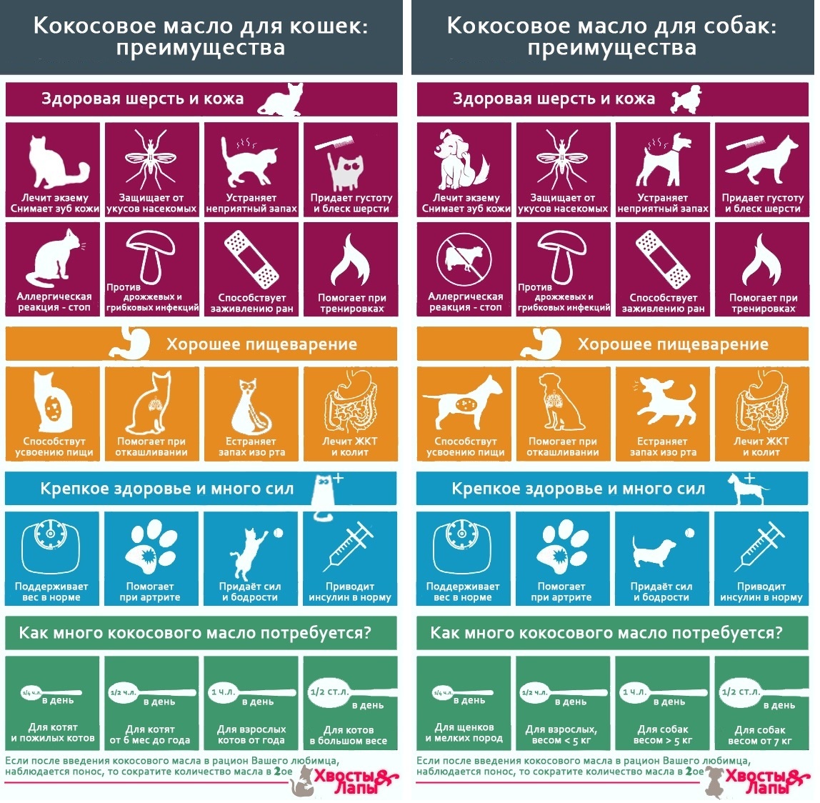 Самые успешные креативы. Цель: увеличить продажи кокосового масла