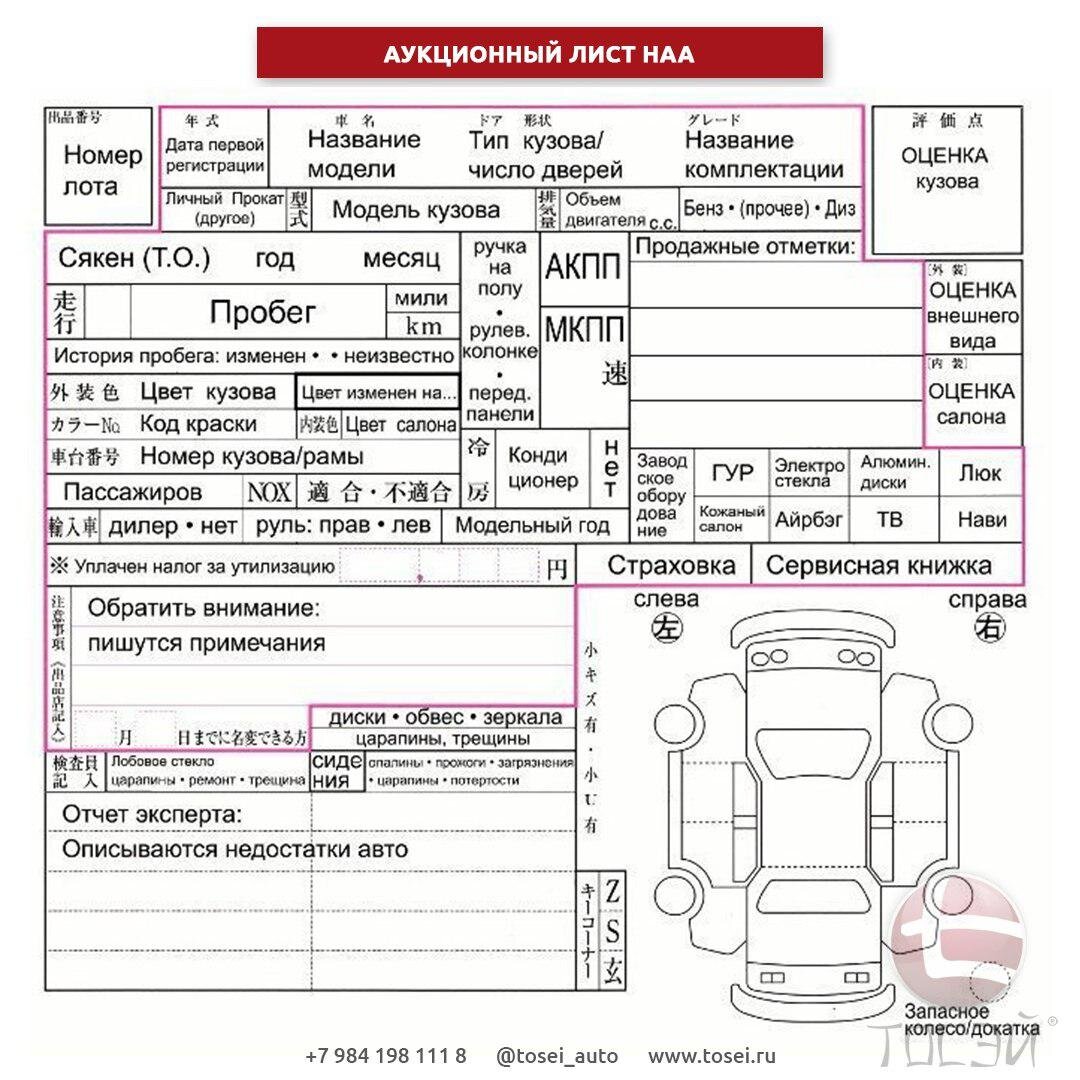 Расшифровка аукционного листа