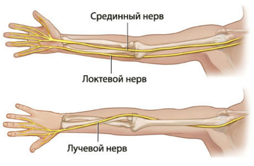 Нервы в правой руке