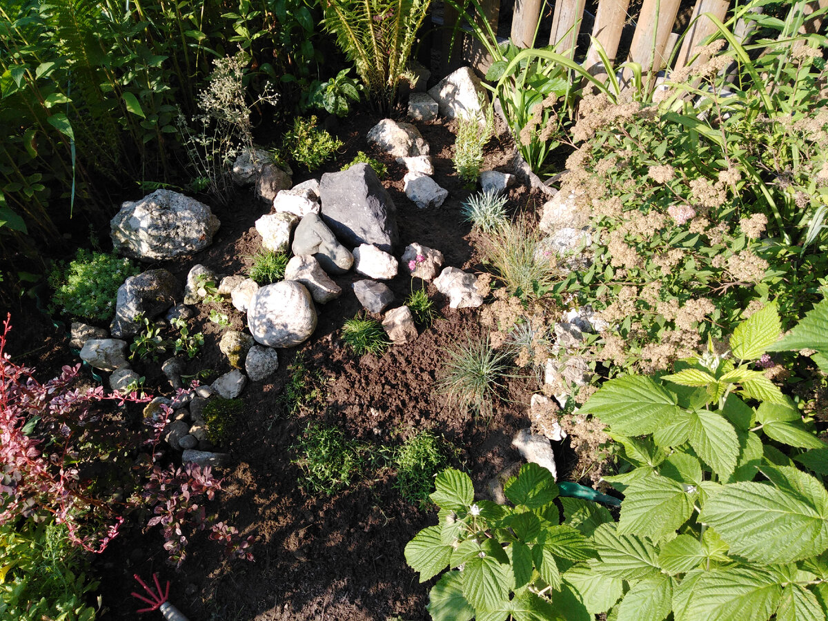 Общий вид на рокарий 