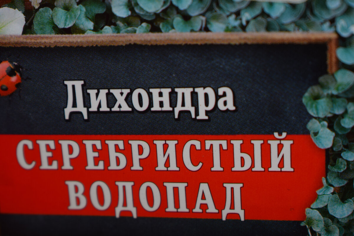 Зачем и как однажды «остановили» Ниагарский водопад? Внутри историческое фото