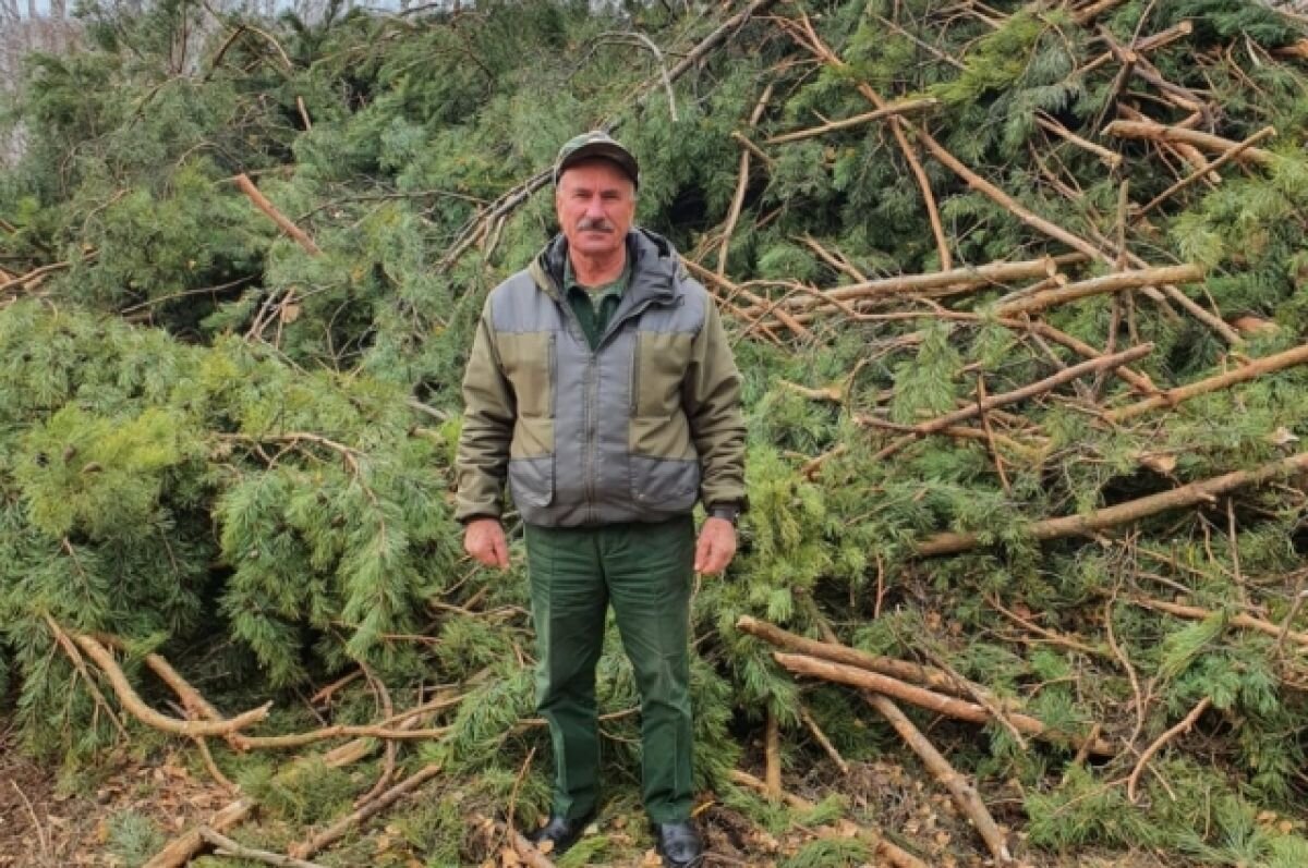    Доволенский лесхоз: с днём работников лесного хозяйства