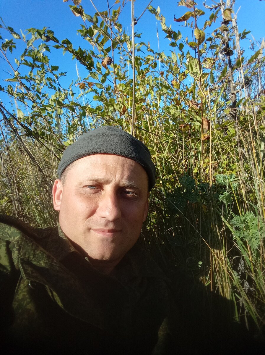 Автор ждёт в кустах зарплату