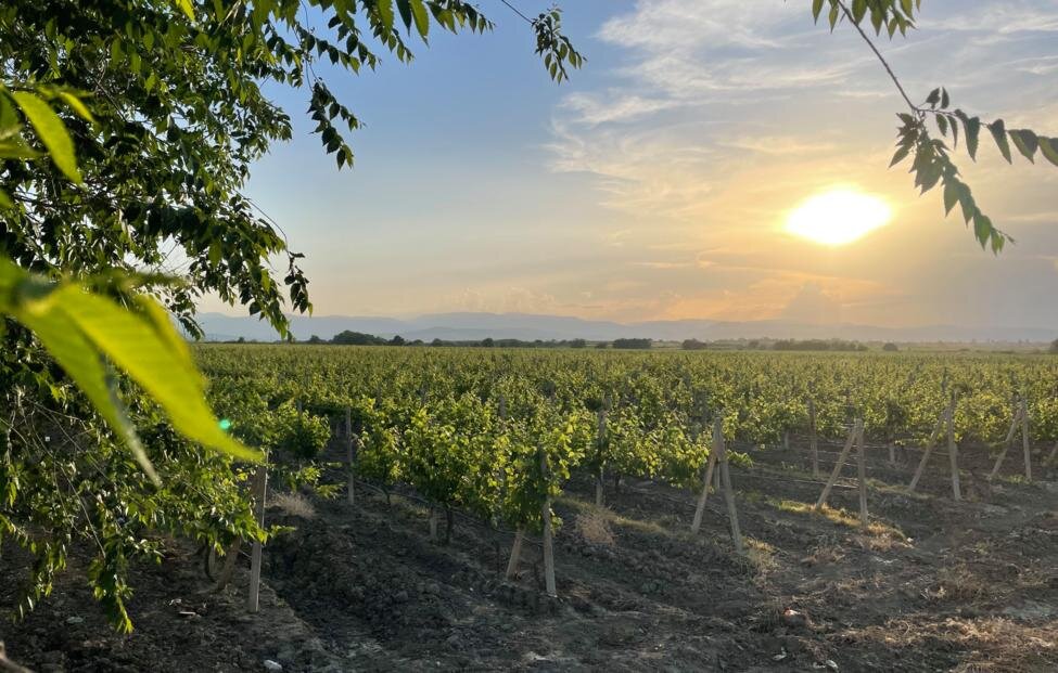 © Гянжеви Гаджибалаев/ТАСС 