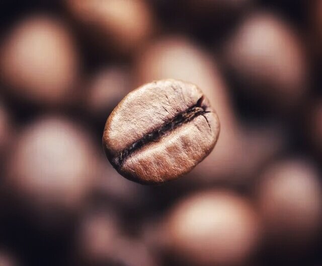 Кофейное зерно