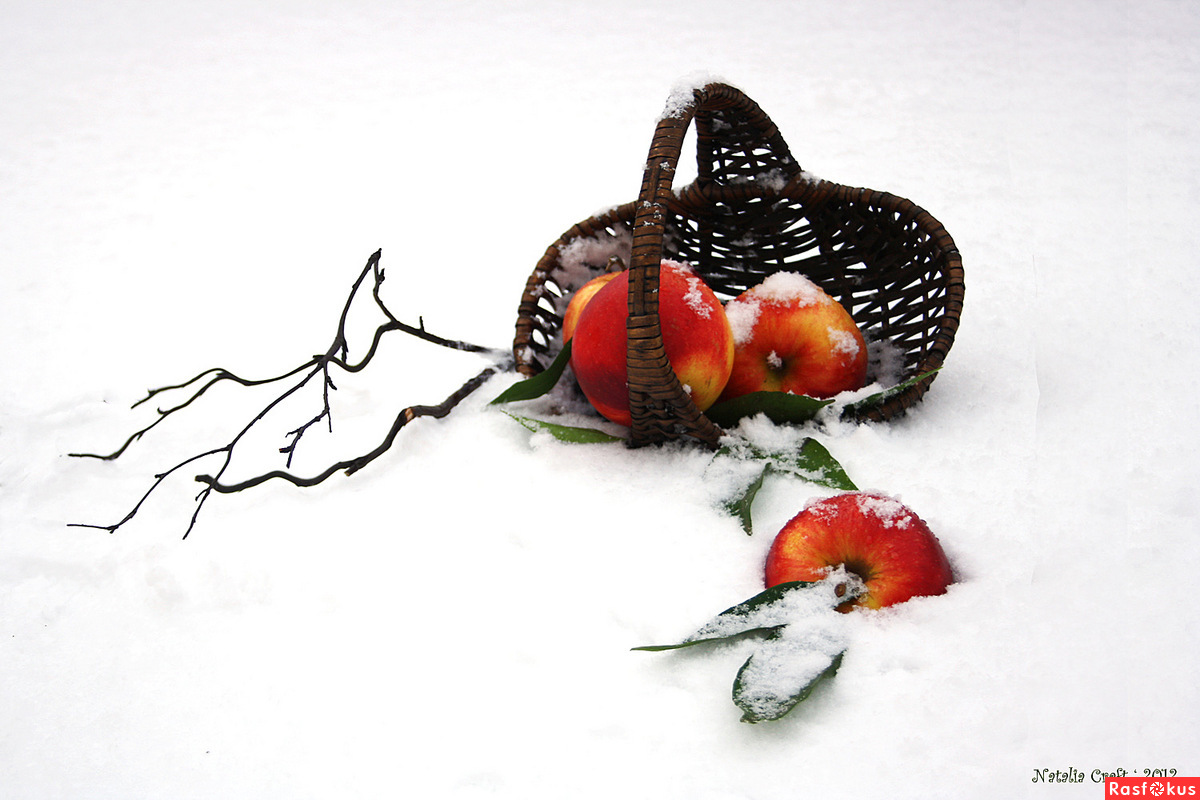 иллюстрация автор нагло стырил из сети 