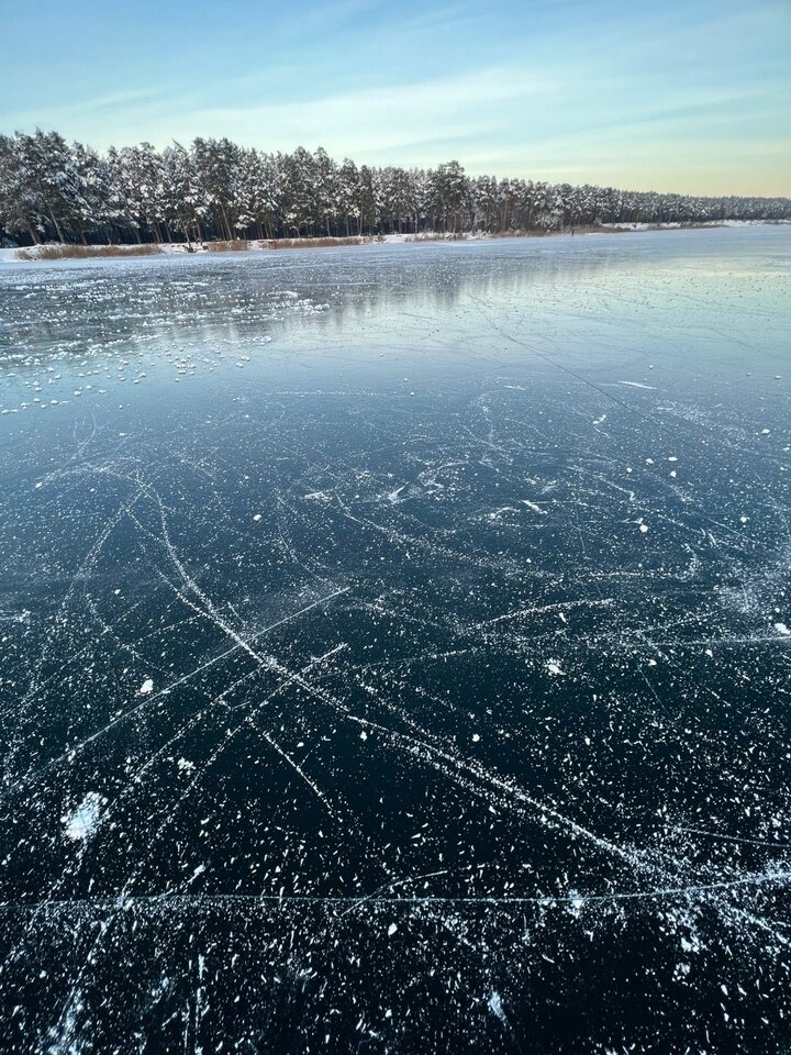   Екатерина Царева