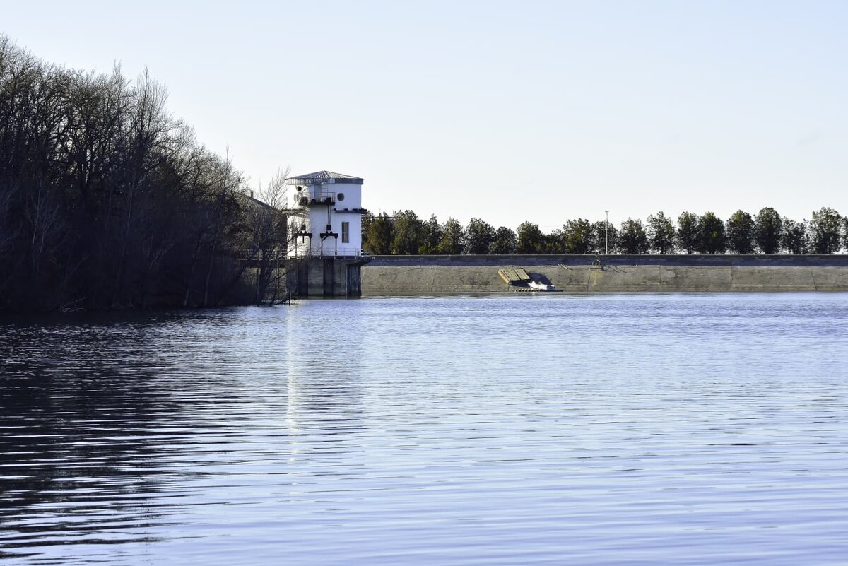 Фото: Гала Амарандо