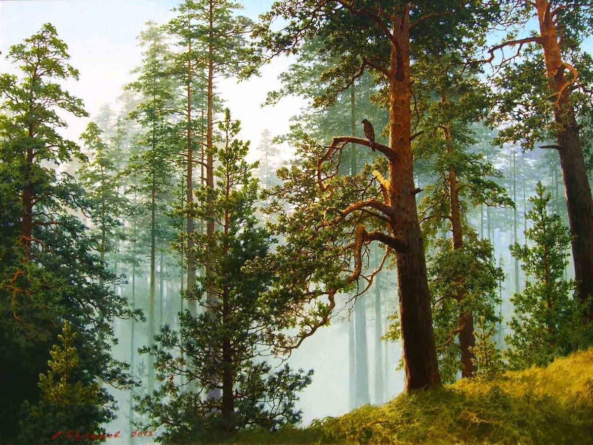 Картинка из свободного доступа