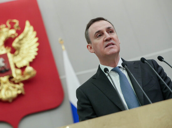     Фото: duma.gov.ru