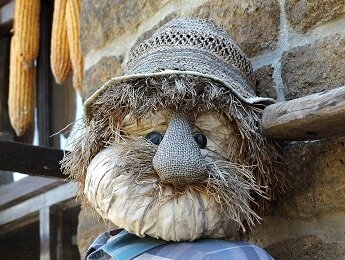 Изображение из открытого источника. Pixabay