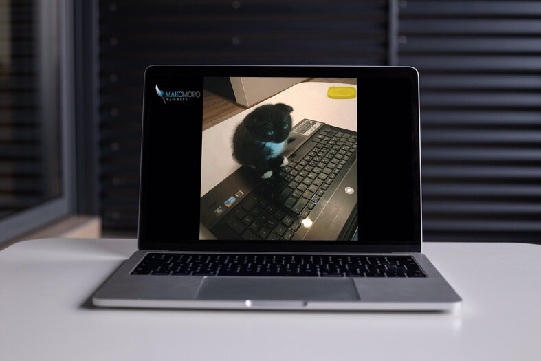 Муся корректирует текст Макса Моро и делает психологический анализ персонажей)))