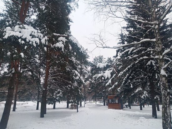     фото: МК в Туле