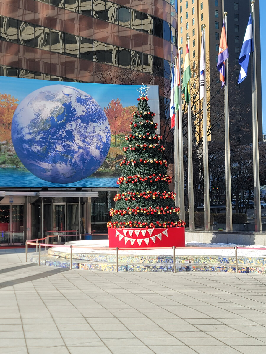 Рождественская ёлка около арт-музея