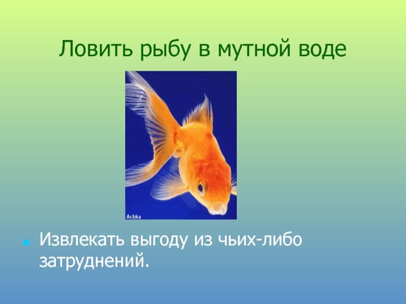На что ловить в мутной воде
