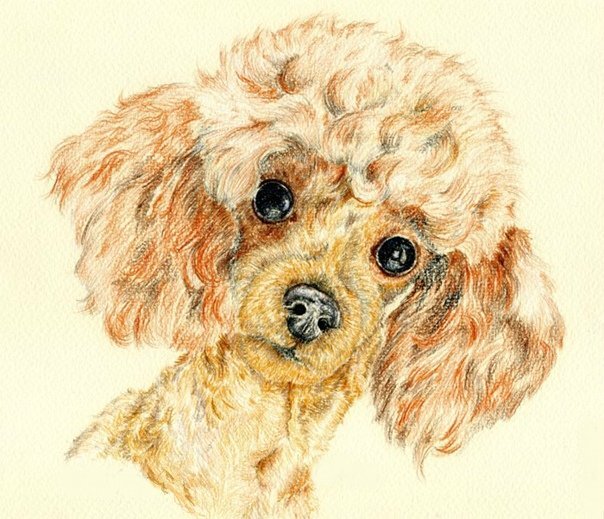 Картинка из открытых источников