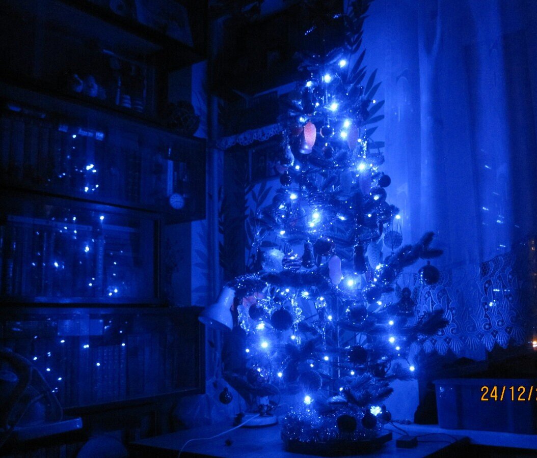 Наша ёлочка в Москве ночью. Фото автора. 