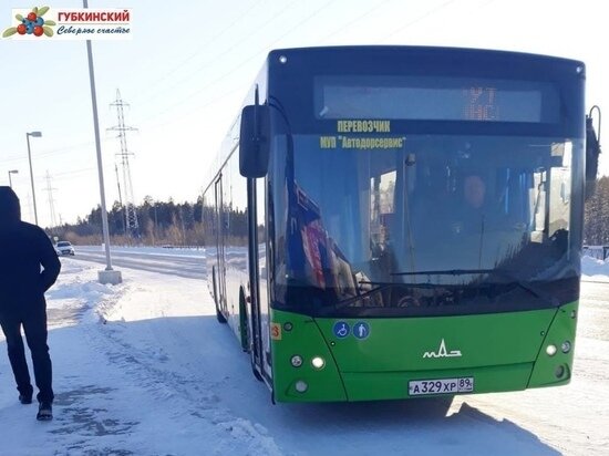     Фото: администрация Губкинского