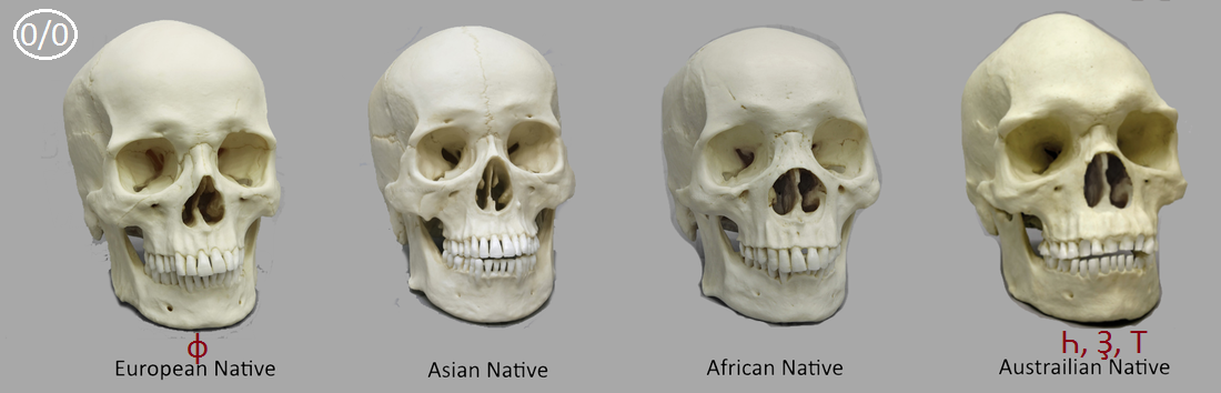 Из интернет ресурса свободного пользования.