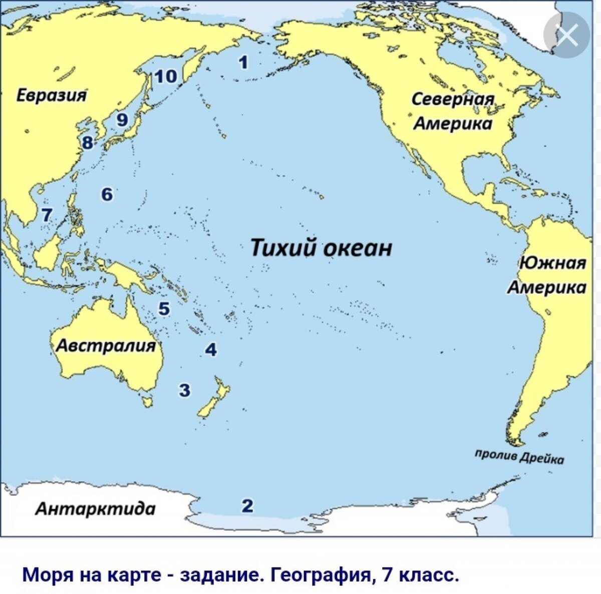 площадь тихого океана