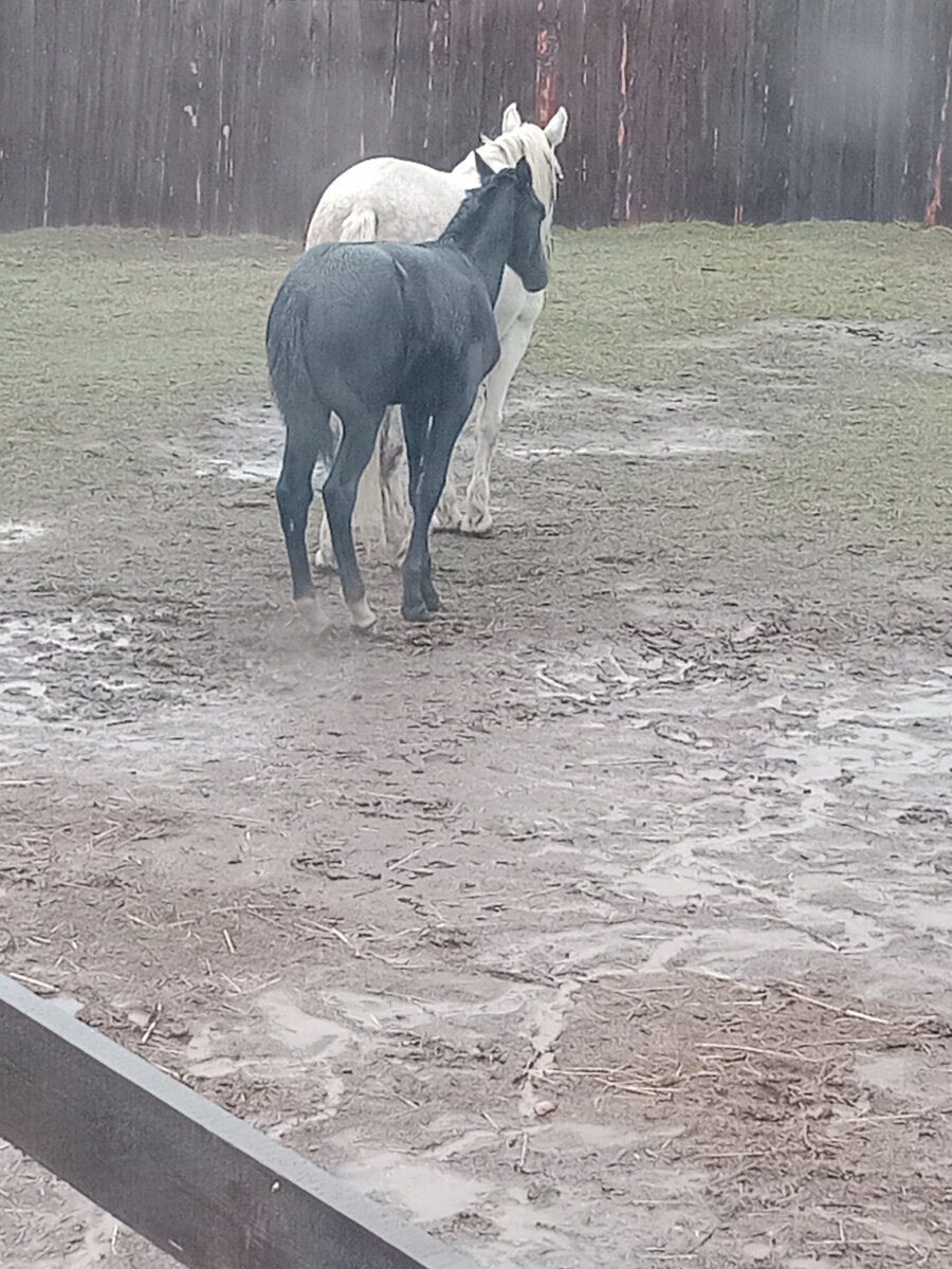 Кайф под дождём