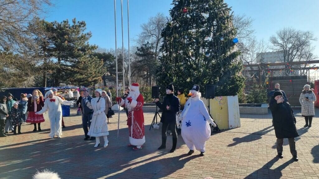     В Ростове нашли 26 нелегальных рынка по продаже новогодних деревьев, сообщили в администрации города.