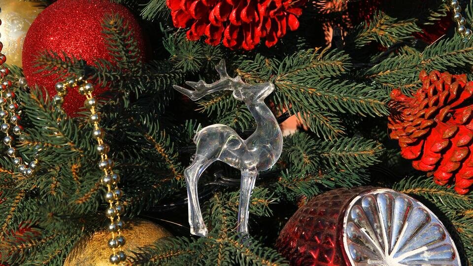 Фото: © РИА Новости/Мария Девахина