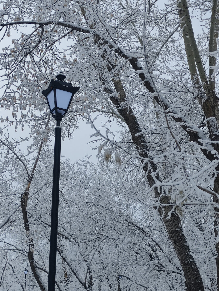 В нашем парке