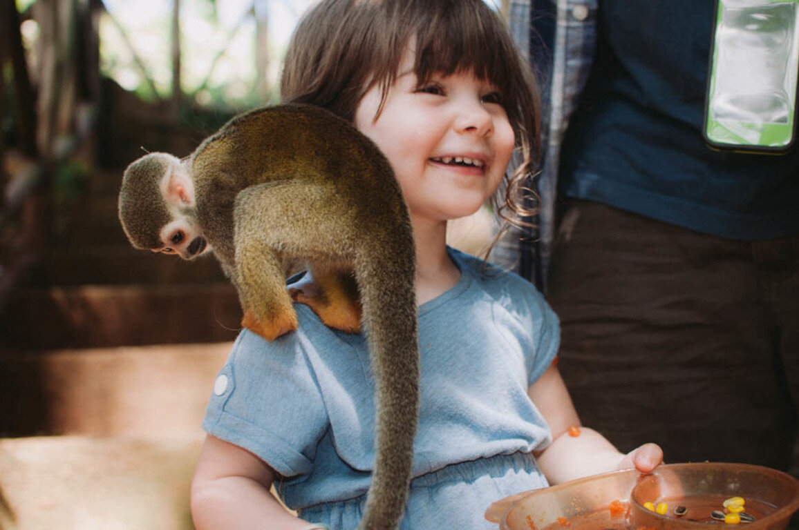 Фотогалерея Monkey Jungle & Zip Line Adventures