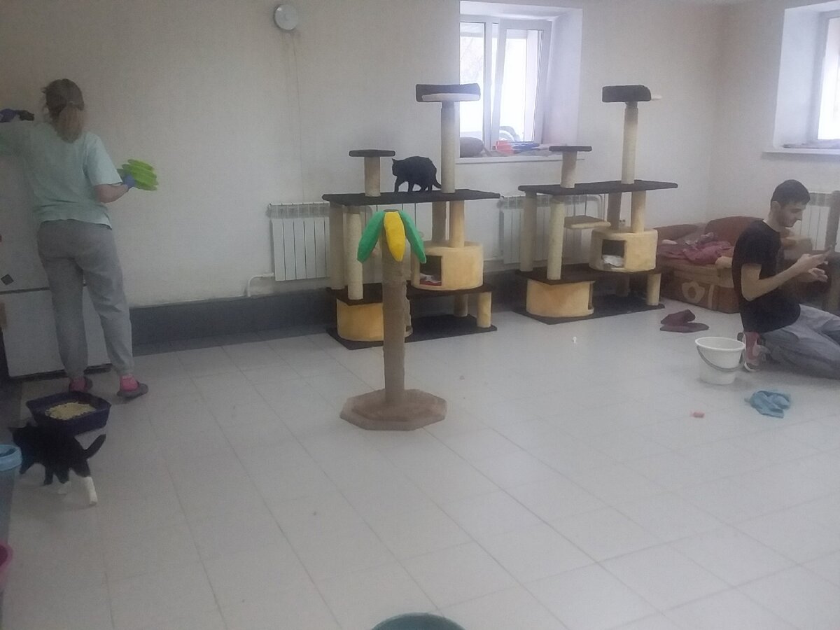 работа кипит