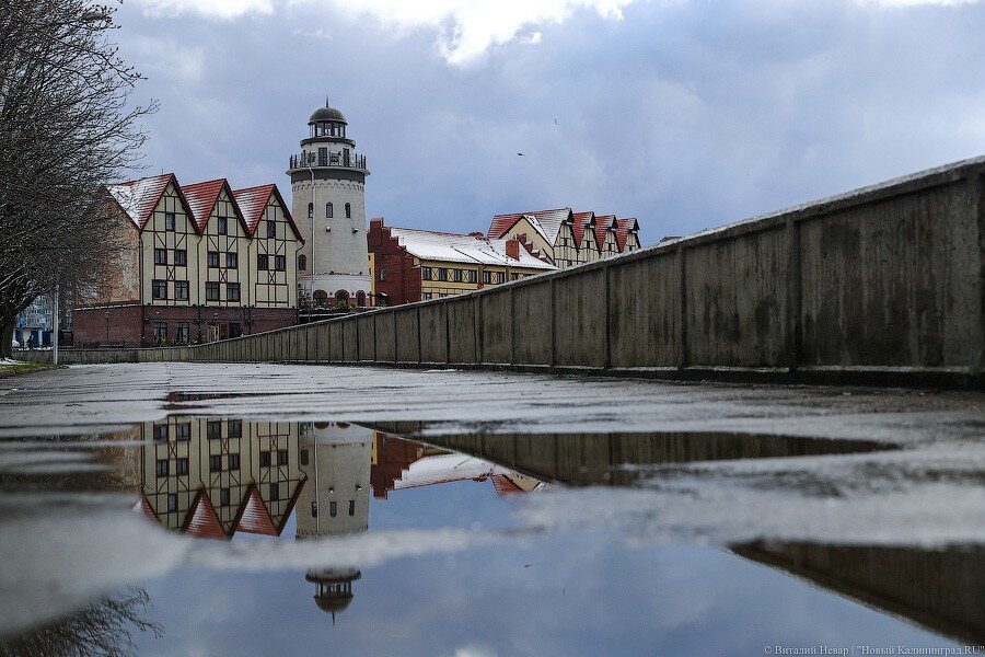 Фото: Виталий Невар / Новый Калининград
