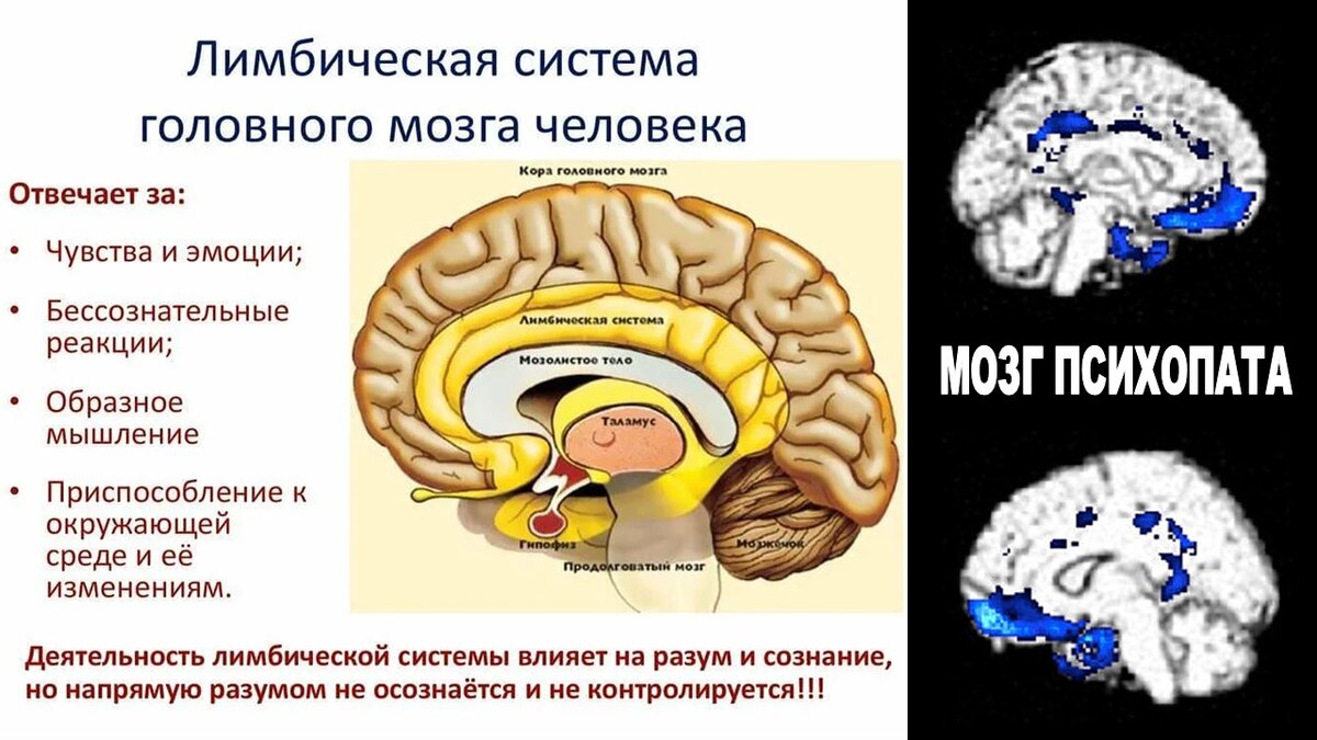Авторский коллаж, источник яндекс картинки