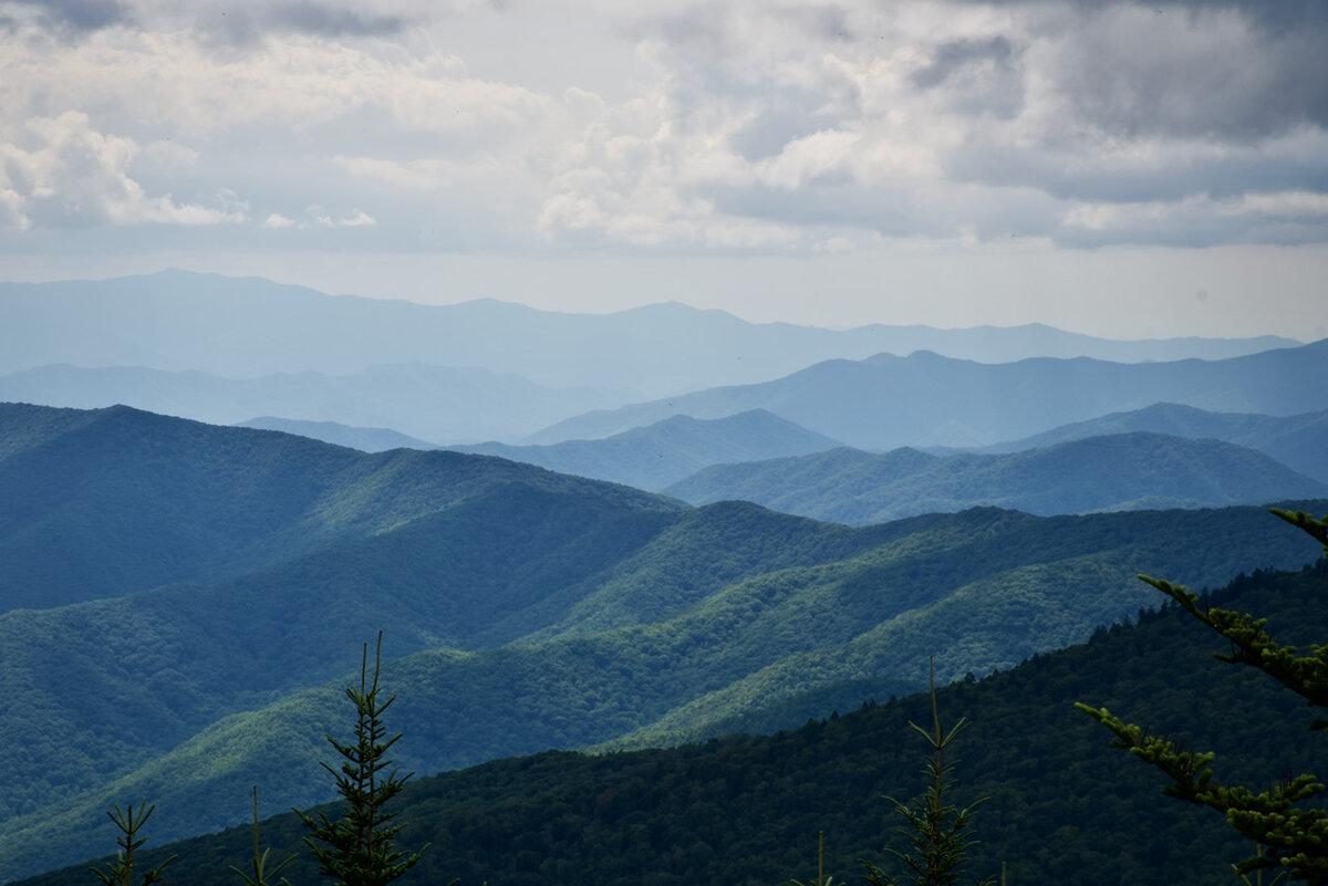 Wild Appalachia