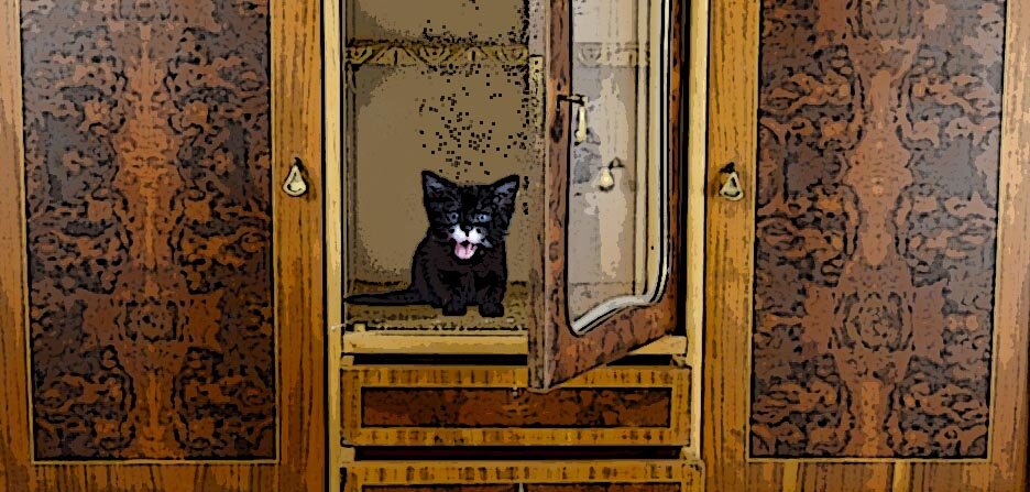 Котёнок в серванте. Иллюстрация