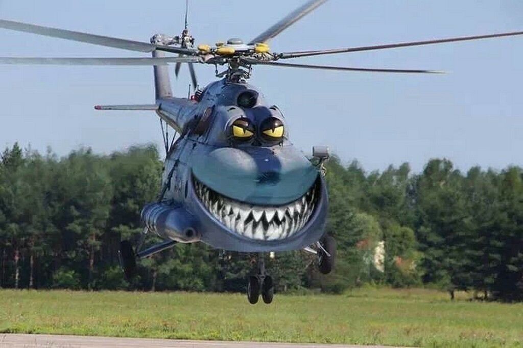 Изображение взято из Интернета.