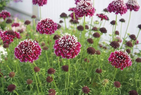 Фото из интернета