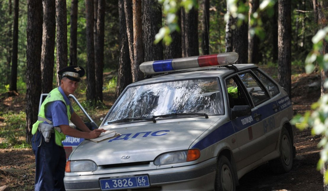 Заезд автотранспорта в лес