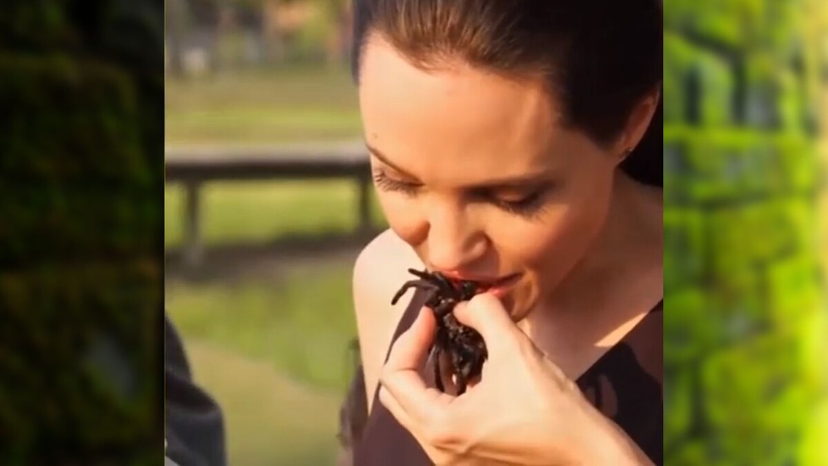 Анжелина Джоли учит детей правильно есть пауков, скорпионов