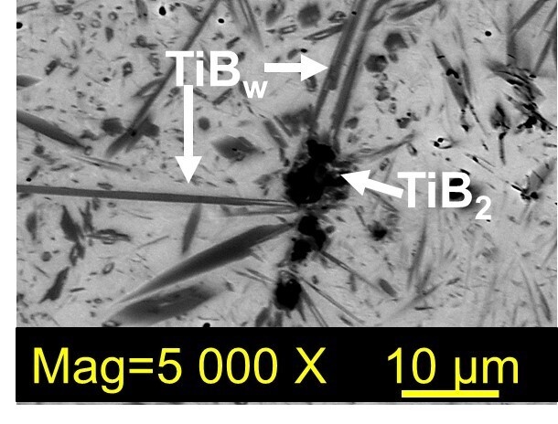    Микроструктура сплава ВТ6 с добавлением диборида титана, на которой видно образование вискерсов борида титана. Источник: А. Маликов / пресс-служба ИЯФ СО РАН