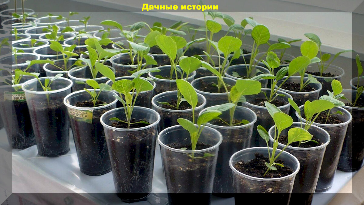 https://vk.com/photo-159774511_457258280