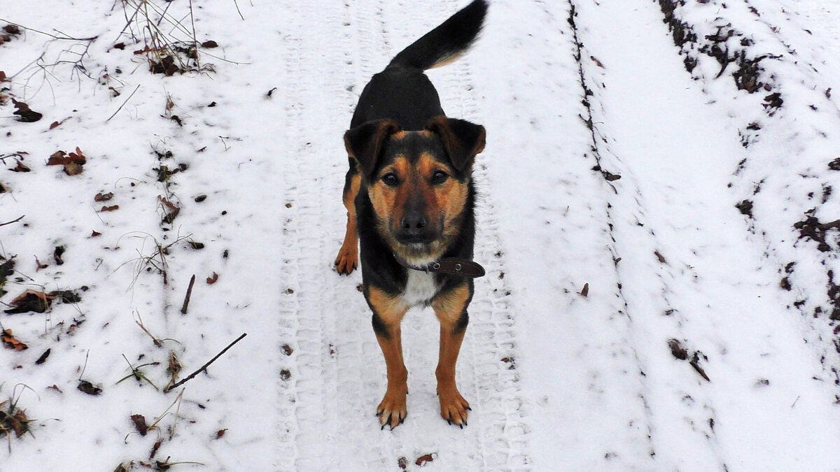 Вот он красавчик!