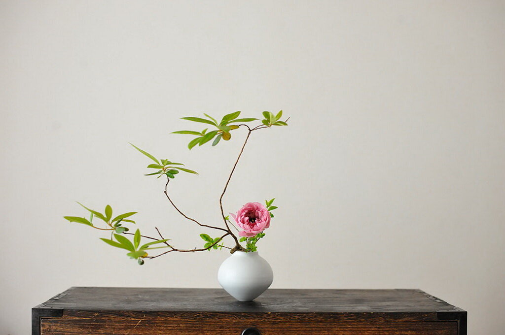 Гвоздика Ikebana