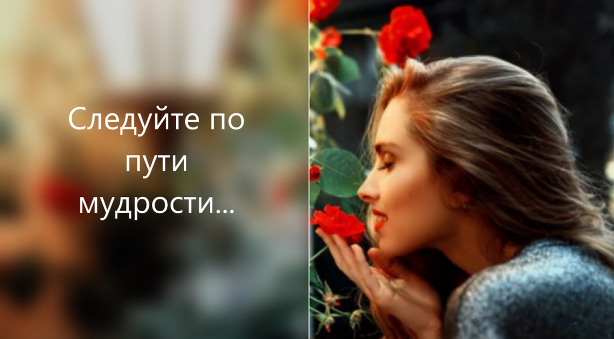 Сегодня особенно сложно выбирать с умом. Потому что умное высмеивается и считается наивным. Люди часто этого не понимают. Они насмехаются над решениями, которые они должны выбрать. Они считают, что лучше обходные пути, темные и запутанные, часто заминированные, с большими ямами в виде ловушек.