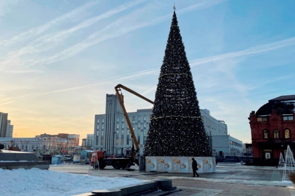    Стало известно, где после демонтажа будут хранить главную елку Пензы