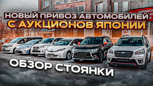 ❗НОВЫЙ ПРИВОЗ АВТОМОБИЛЕЙ С АУКЦИОНОВ ЯПОНИИ❗ОБЗОР СТОЯНКИ❗JAPAUTOBUY