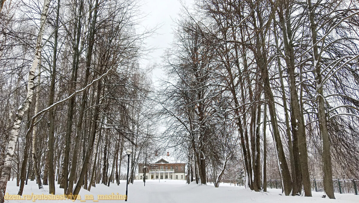 Вход через аллею в усадьбу Домотканово, д. Красная Новь Тверская область