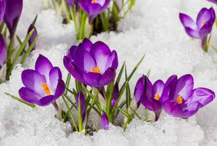 Фотография из Интернет-источников